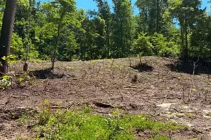 51 Cabin Rd, Augusta, WV 26704 - Photo 6