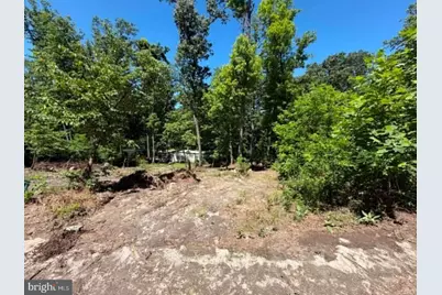 51 Cabin Road, Augusta, WV 26704 - Photo 16