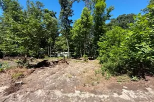 51 Cabin Rd, Augusta, WV 26704 - Photo 16