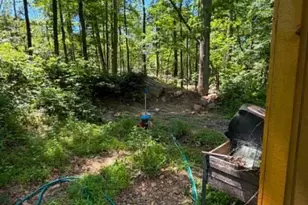 51 Cabin Rd, Augusta, WV 26704 - Photo 14