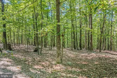 374 Farm View Lane, Romney, WV 26757 - Photo 88
