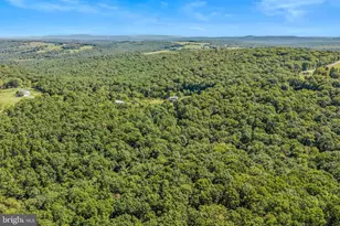 374 Farm View Ln, Romney, WV 26757 - Photo 92