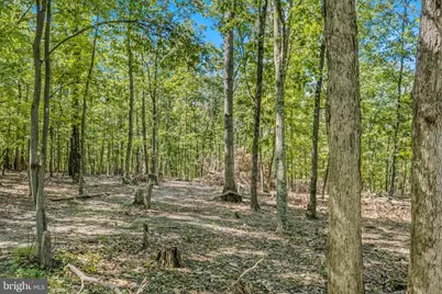 374 Farm View Lane, Romney, WV 26757 - Photo 86