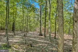 374 Farm View Ln, Romney, WV 26757 - Photo 86