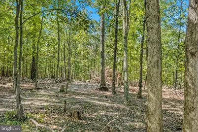 Farm View Lane, Romney, WV 26757 - Photo 4