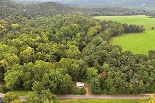 9184 Cold Stream Rd, Capon Bridge, WV 26711 - Photo 58