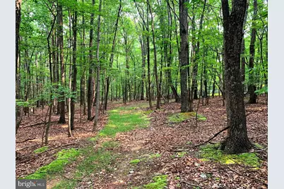 Cardinal View Road, Paw Paw, WV 25434 - Photo 10