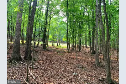 Cardinal View Road, Paw Paw, WV 25434 - Photo 8
