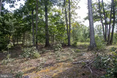 465 Short Mountain Heights Boulevard, Delray, WV 26714 - Photo 42
