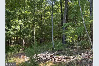 669 Capon Woods Resort Road #LOT 19, High View, WV 26808 - Photo 14