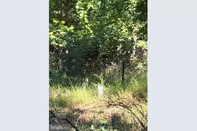 669 Capon Woods Resort Road #LOT 19, High View, WV 26808 - Photo 6