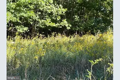 669 Capon Woods Resort Road #LOT 19, High View, WV 26808 - Photo 4