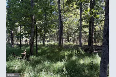 Lot 205 Graces Cabin Road, Springfield, WV 26763 - Photo 6