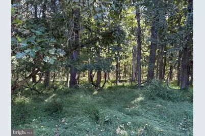 Lot 205 Graces Cabin Road, Springfield, WV 26763 - Photo 10