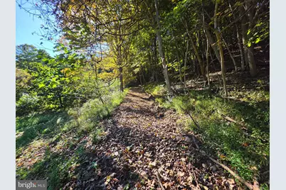 Lots 5 & 6 Proctor Road, Purgitsville, WV 26852 - Photo 24