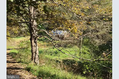 Lots 5 & 6 Proctor Road, Purgitsville, WV 26852 - Photo 32