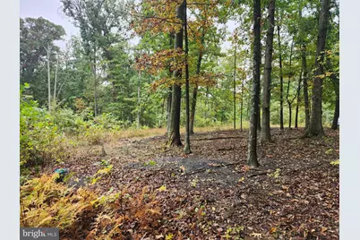 Lot 17 Quaker Lake Trail, Capon Bridge, WV 26711 - Photo 20