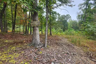 Lot 17 Quaker Lake Trail, Capon Bridge, WV 26711 - Photo 1