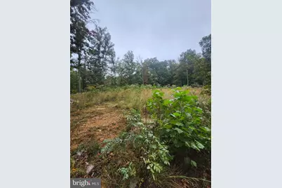 Lot 17 Quaker Lake Trail, Capon Bridge, WV 26711 - Photo 38