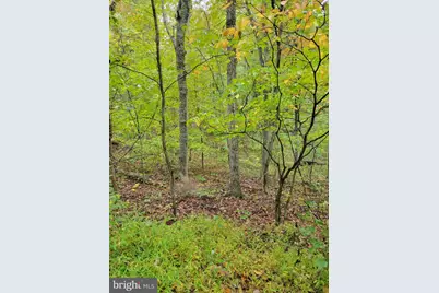 Hawks Way, Delray, WV 26714 - Photo 4