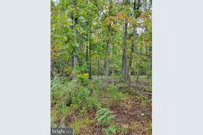 Hawks Way, Delray, WV 26714 - Photo 8