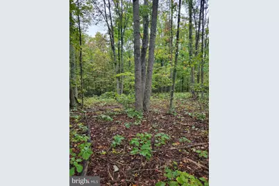 Hawks Way, Delray, WV 26714 - Photo 6