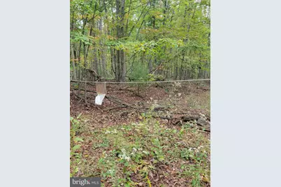 Bear Road, Delray, WV 26714 - Photo 8