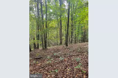 Bear Road, Delray, WV 26714 - Photo 2