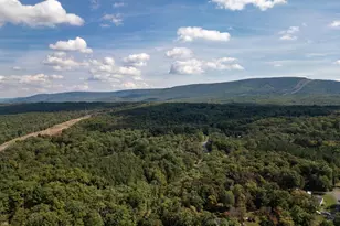 378 Janes Way, High View, WV 26808 - Photo 58