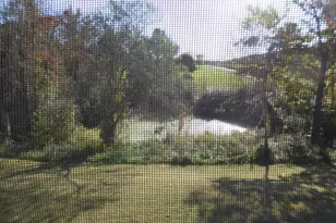 1221 Dunkard Church Rd, Augusta, WV 26704 - Photo 74