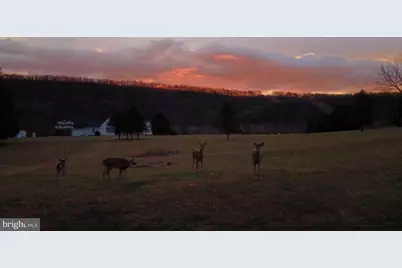 715 Whitetail Crossing Road, Augusta, WV 26704 - Photo 20