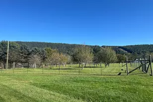 715 Whitetail Crossing Rd, Augusta, WV 26704 - Photo 4