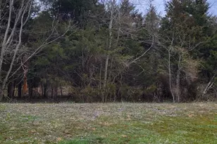 19712 Northwestern Pike, Shanks, WV 26761 - Photo 8