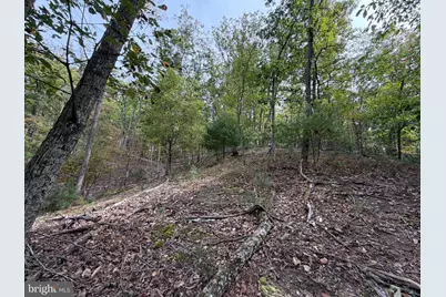 24 Long Acre Estates, Romney, WV 26757 - Photo 16