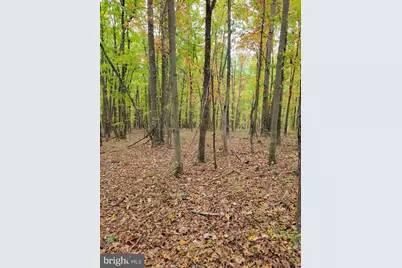 Firecracker Lane, Delray, WV 26714 - Photo 1