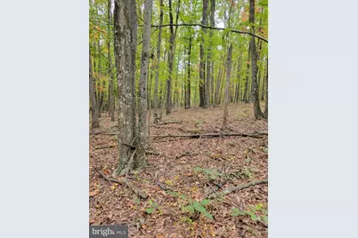 Firecracker Lane, Delray, WV 26714 - Photo 2
