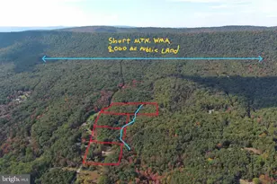550 N River Highlands Rd, Delray, WV 26714 - Photo 6