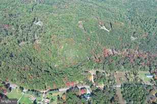 550 N River Highlands Rd, Delray, WV 26714 - Photo 98