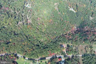 550 N River Highlands Rd, Delray, WV 26714 - Photo 102