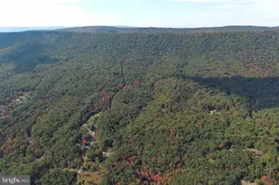 550 N River Highlands Rd, Delray, WV 26714 - Photo 96