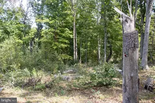465 Short Mountain Heights Blvd, Delray, WV 26714 - Photo 40
