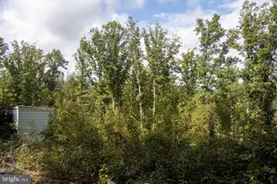465 Short Mountain Heights Blvd, Delray, WV 26714 - Photo 50