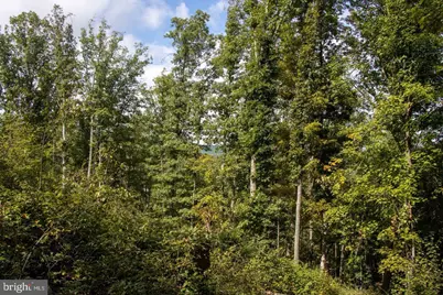 465 Short Mountain Heights Boulevard, Delray, WV 26714 - Photo 48