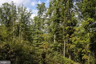 465 Short Mountain Heights Blvd, Delray, WV 26714 - Photo 48
