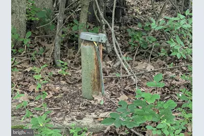 6.1 and 1.57 Acres Chestnut Hill Road, Harpers Ferry, WV 25425 - Photo 4