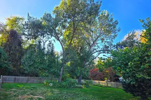 55 Hidden Valley Cir, Shepherdstown, WV 25443 - Photo 10