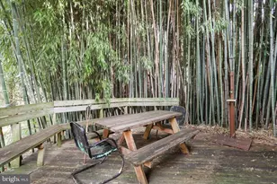 207 W High St, Shepherdstown, WV 25443 - Photo 6