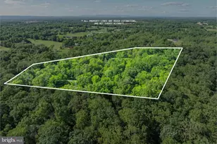 2436 Warm Springs Rd, Shenandoah Junction, WV 25442 - Photo 122