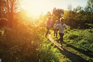 217 Taft Ave, Ranson, WV 25438 - Photo 40