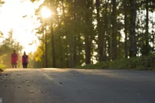 217 Taft Ave, Ranson, WV 25438 - Photo 46